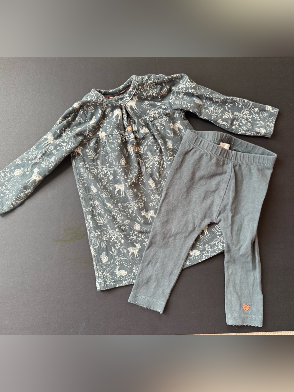 Noppies Slate Green Floral & Animal Dress with Matching Leggings